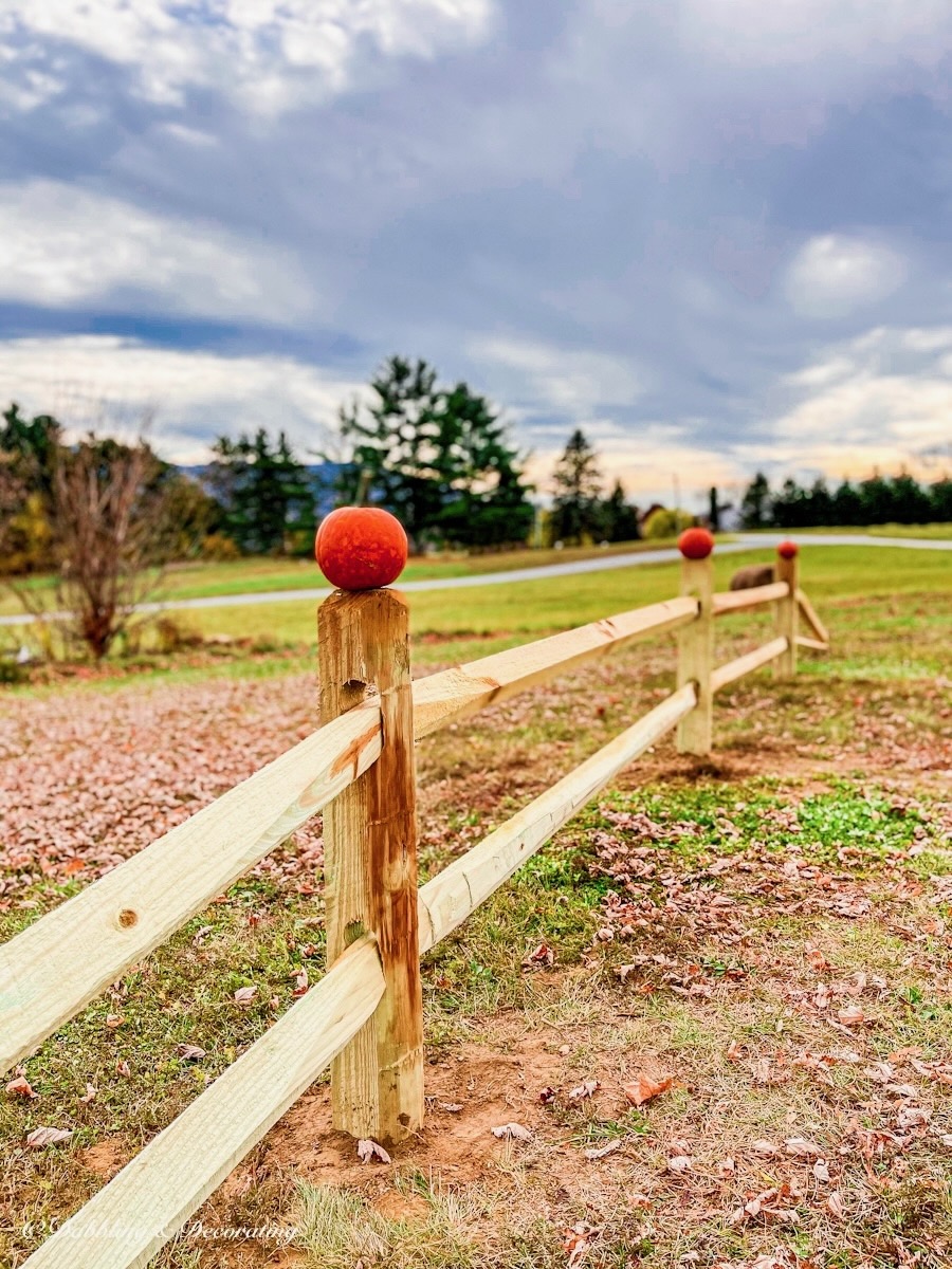 Pumpkin on top of split rail fence in mountains.