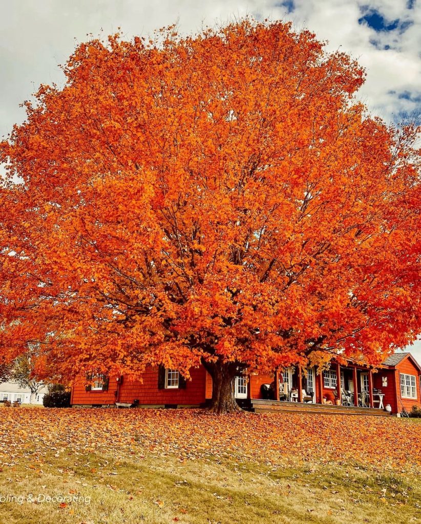 Vermont Fall Foliage Home Tour