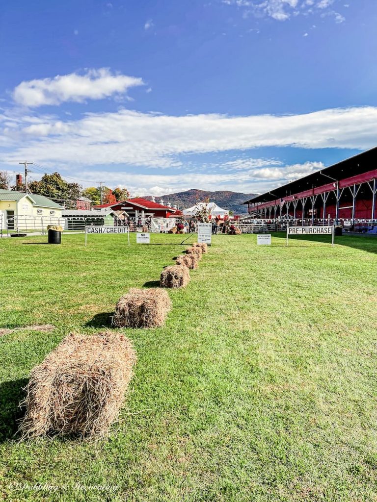 Vintage Market Days Fall 2022 Vermont