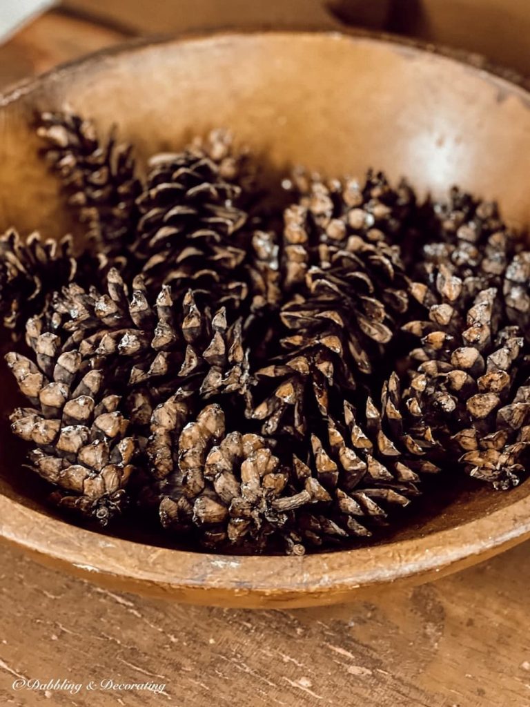 Bowl of Pinecones