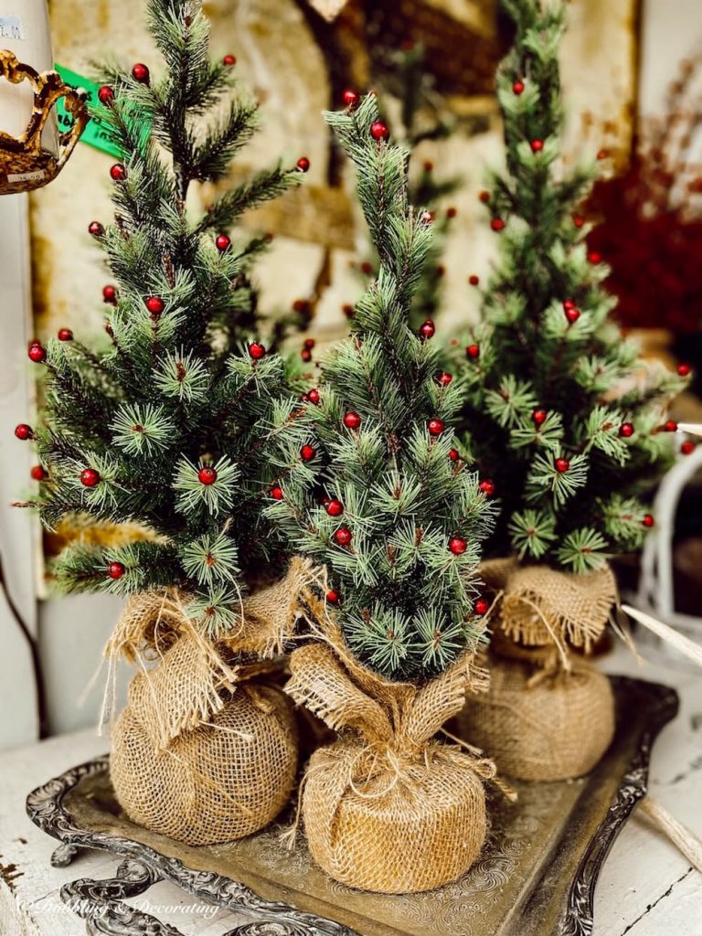 3 burlap bagged Christmas Trees