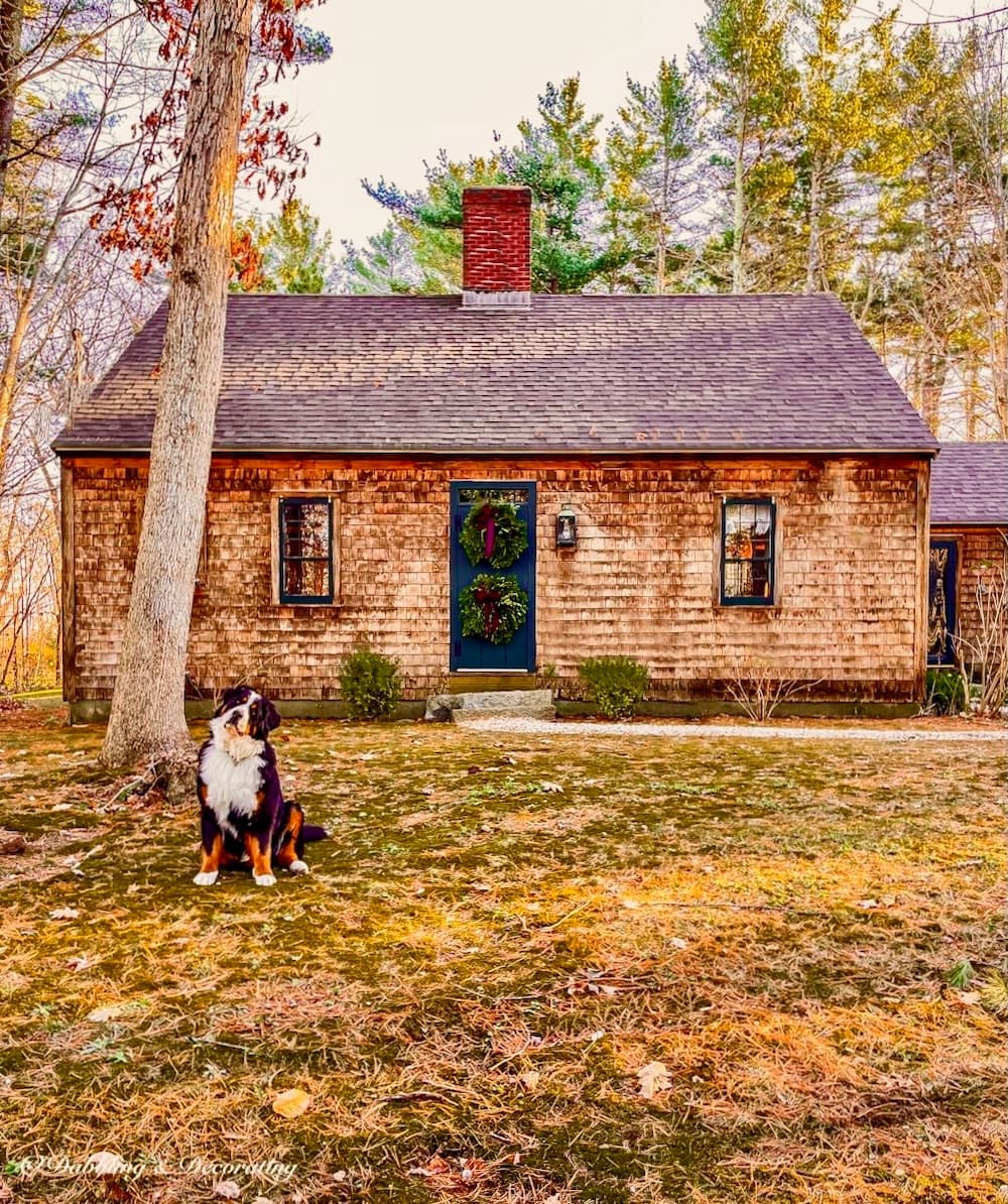 Quick and Easy Cozy Christmas Cottage Kitchen Decorating Ideas - Shiplap  and Shells