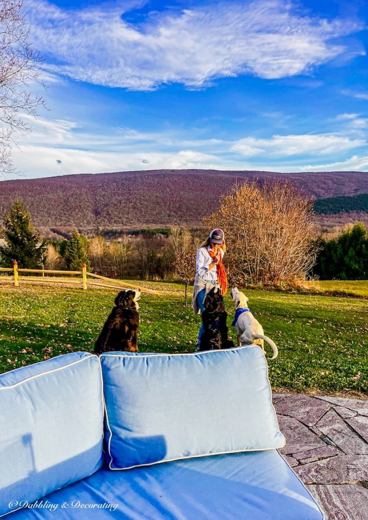 Unseasonably Warm in November, A Neighborhood Gathering