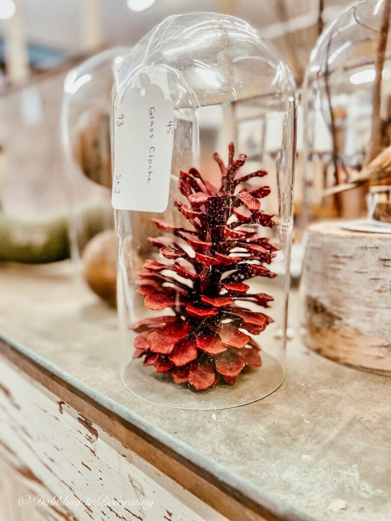 Red Pinecone inside Cloche