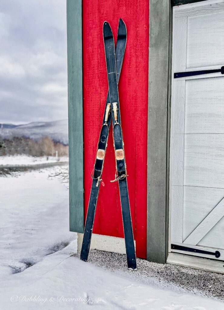 Vintage HEAD black skis