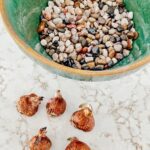 How to Grow Paperwhites in Green Stoneware For Saint Patrick's Day