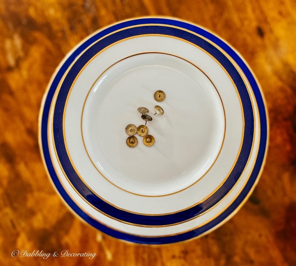 Thumbtacks on blue and and white china plate.