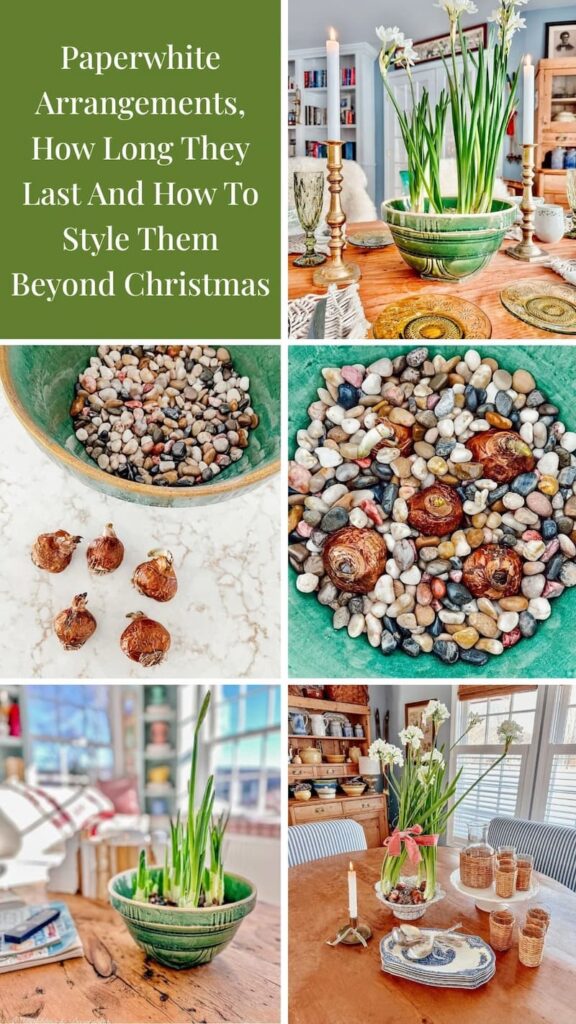 Paperwhite Arrangements, How Long They Last And How To Style Them Beyond Christmas photo collage.