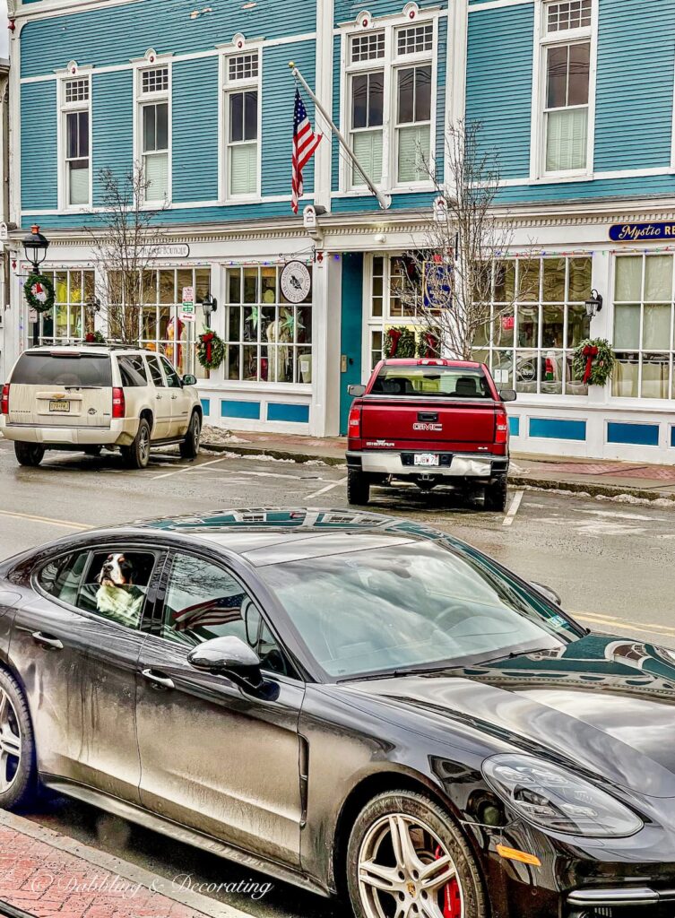 Black Car with Dog