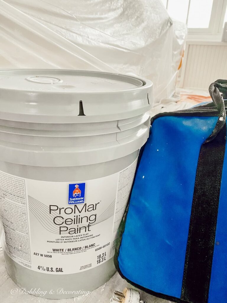 ProMar Ceiling Paint