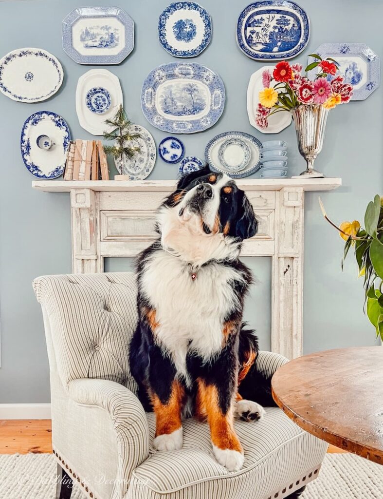 Blue and White Asymmetrical Vintage Platter Wall | Design Yours Today