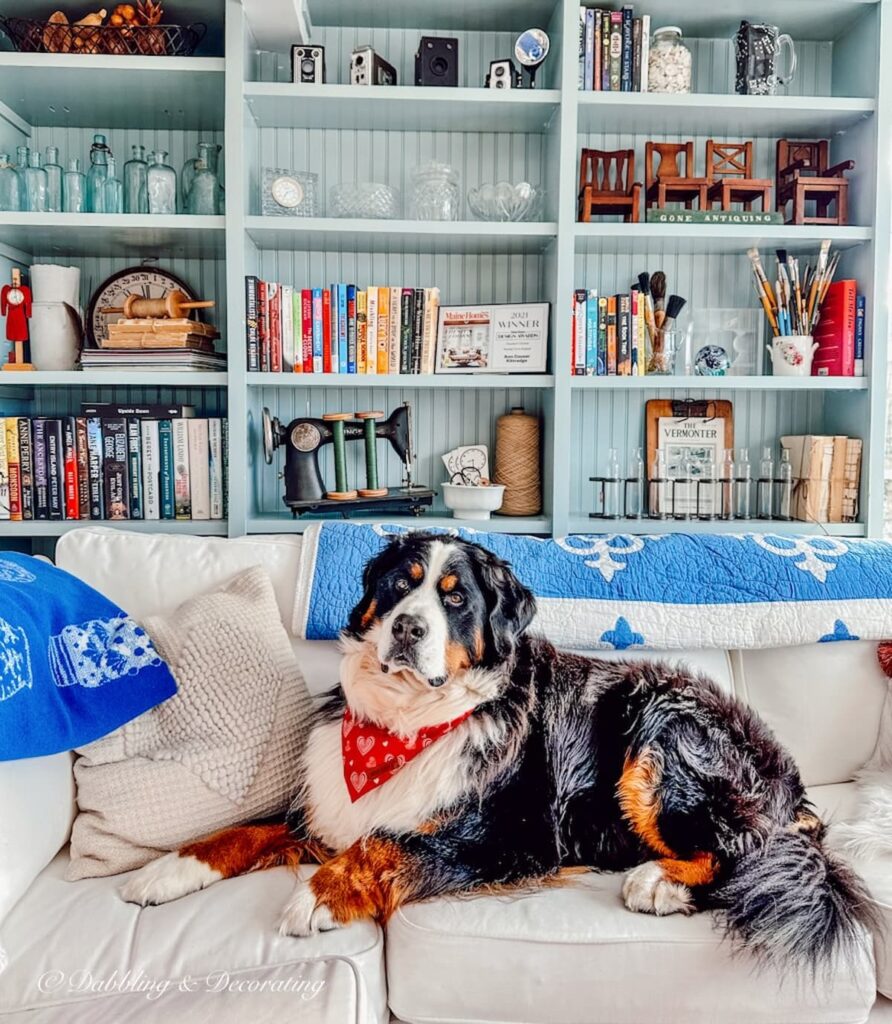 Bernese Mountain Dog on White Ektorp White Sectional.