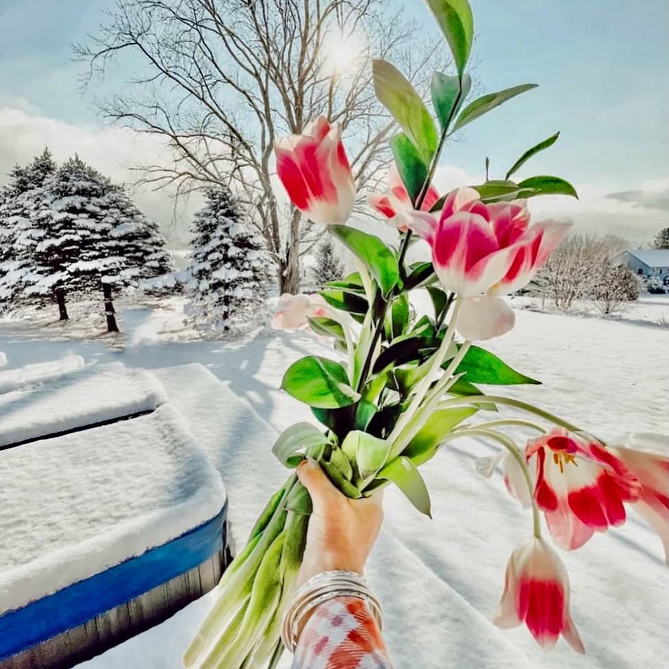 Spring Home Decor and Design