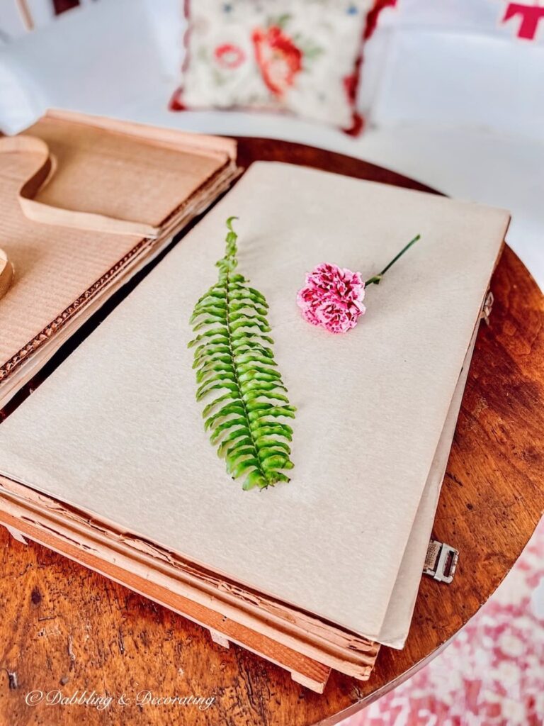 Vintage Student Plant Book with Flower and Leaf