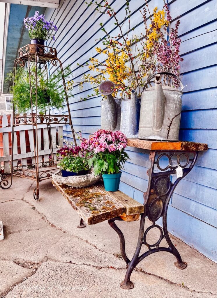 Flowers in Watering Cans