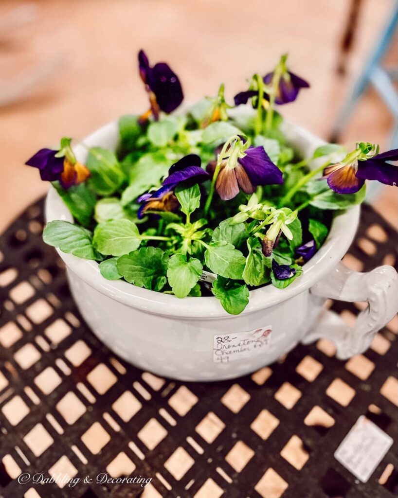 Antique chamber pot with pansies