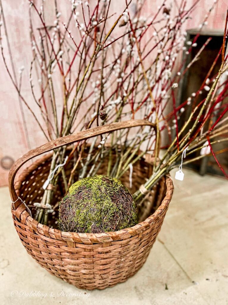 Pussy Willows in Basket types of flower arrangements