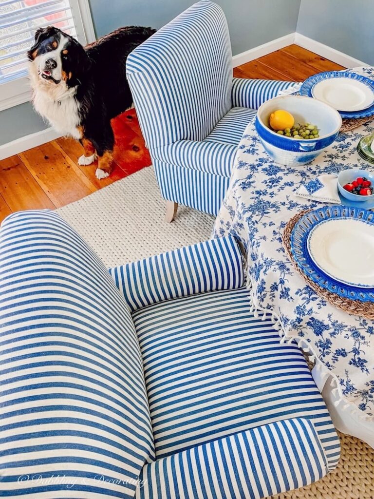 Birch Harbor Accent Armchairs in breakfast nook with Bernese Mountain Dog