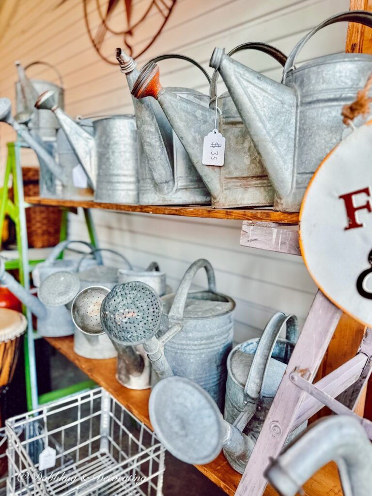 Vintage watering cans