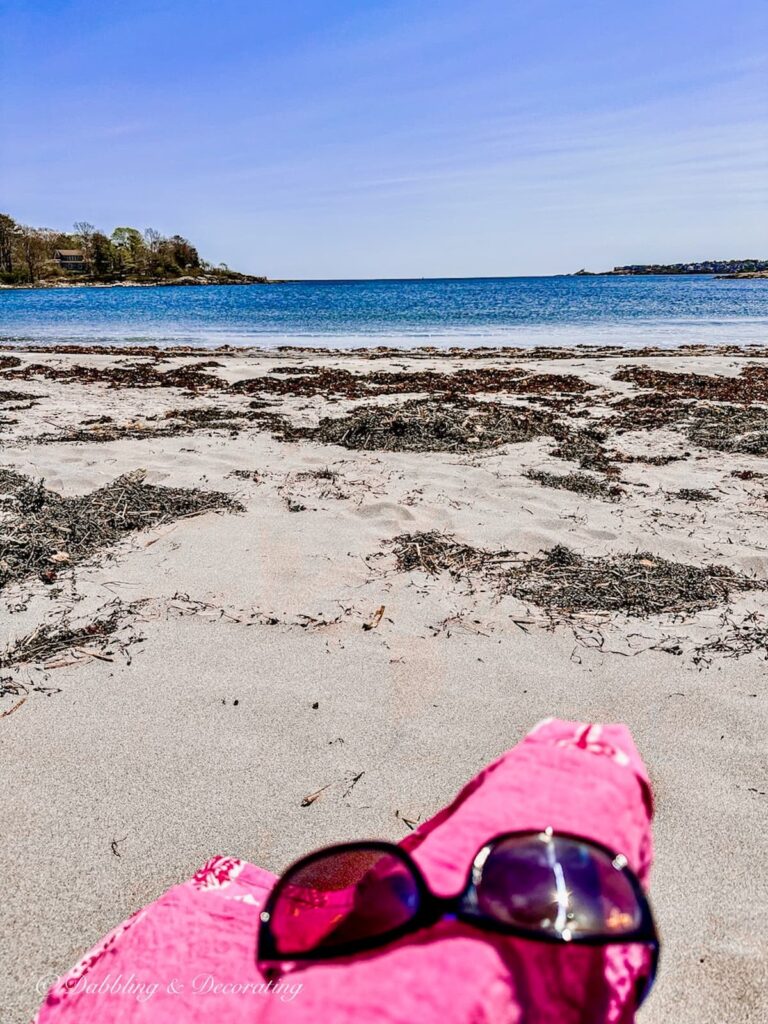 Coastal Maine Beach with Seaweed