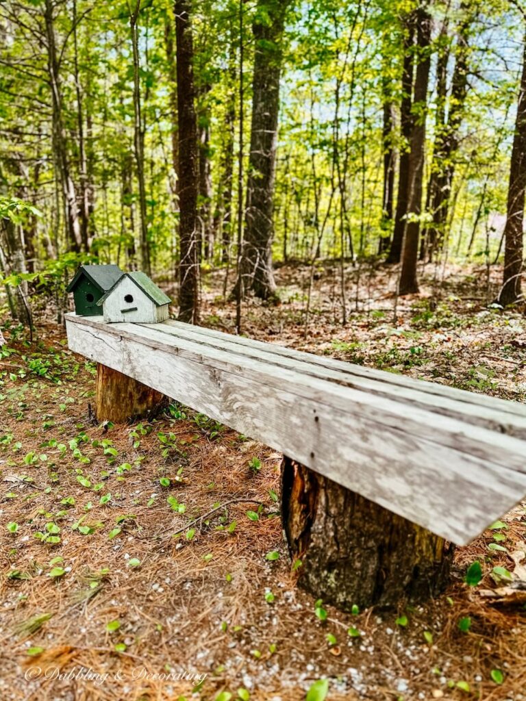 Old Outdoor Bench and Birdhouses