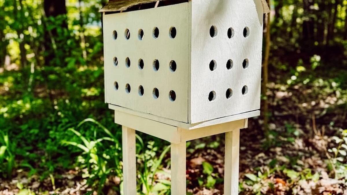 Do You Clean Bird Houses Every Year? Essential Tips for Healthier Birds