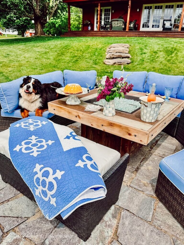 Backyard living with Fire Pit and Bernese Mountain Dog