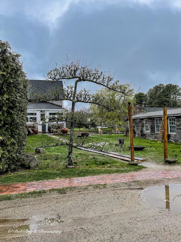 Gardens at Snug Harbor Farm, Maine on a rainy spring day.