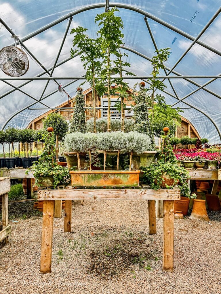 Large Topiary Display at Snug Harbor Farm