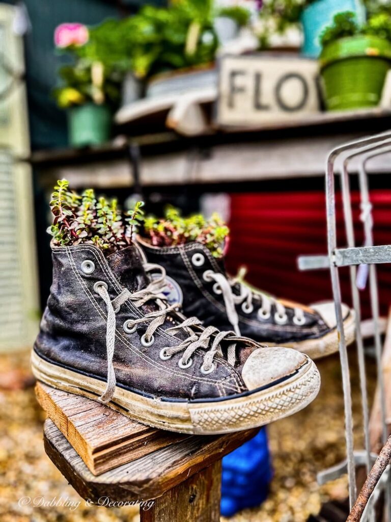 Sneakers with Garden Flowers