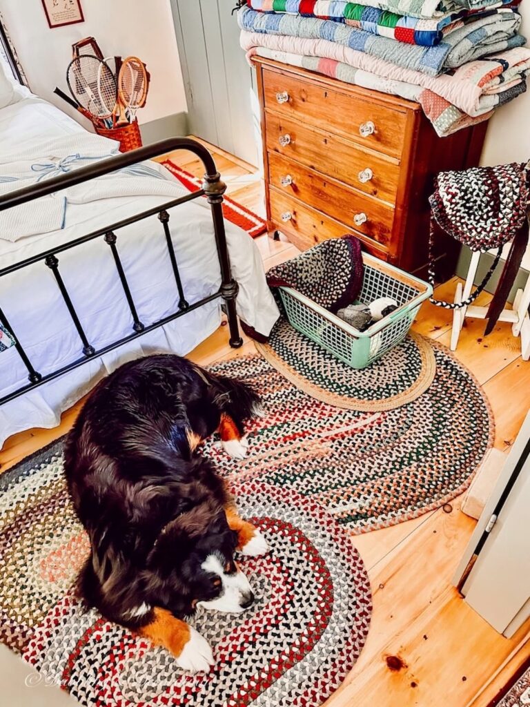 Vintage Rugs, Bernese Mountain Mountain Dog and Quilts
