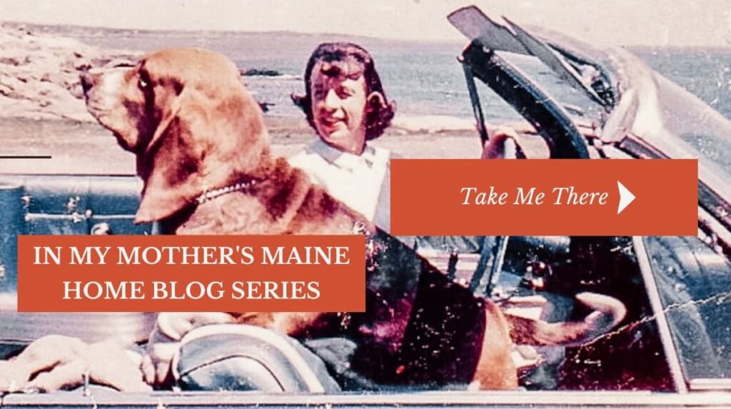 Woman in Convertible with Basset Hound in Maine