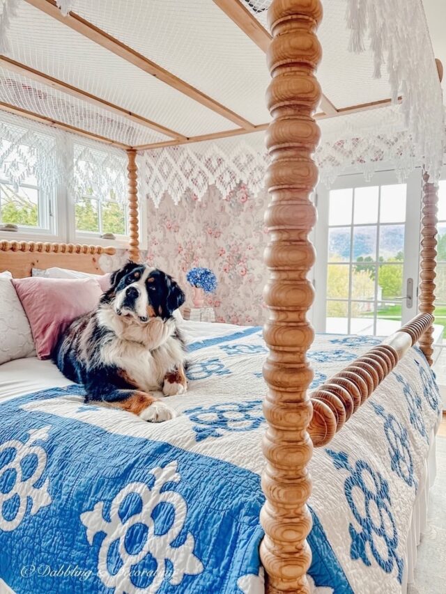 Bernese Mountain Dog on Canopy Bed, Vintage Aesthetic Bedroom
