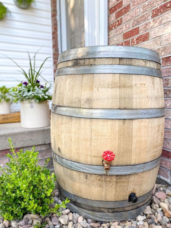 Rain Barrel