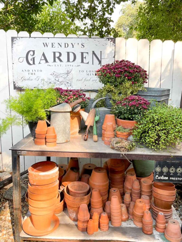 Aged Terracotta Pot Display