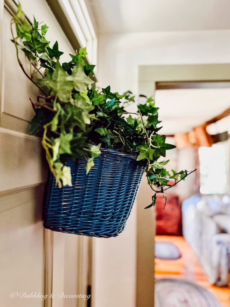 Blue Bicycle Basket with Ivy on Door