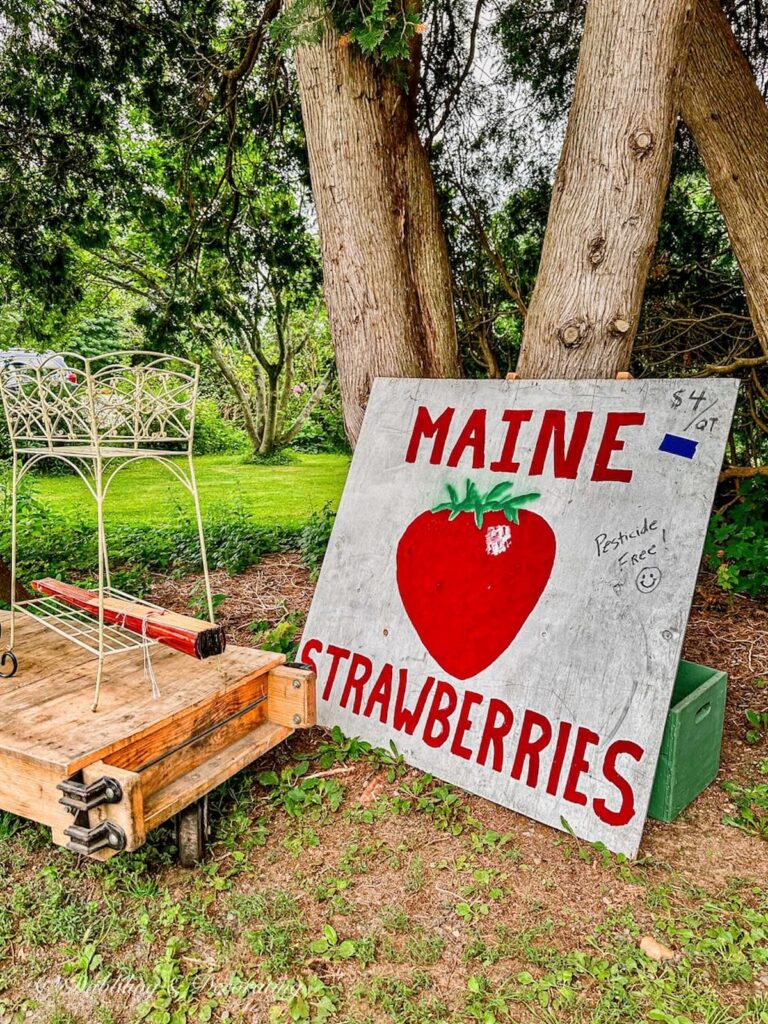 Large Maine Strawberries Sign