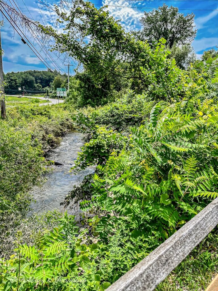 Brook and greenery