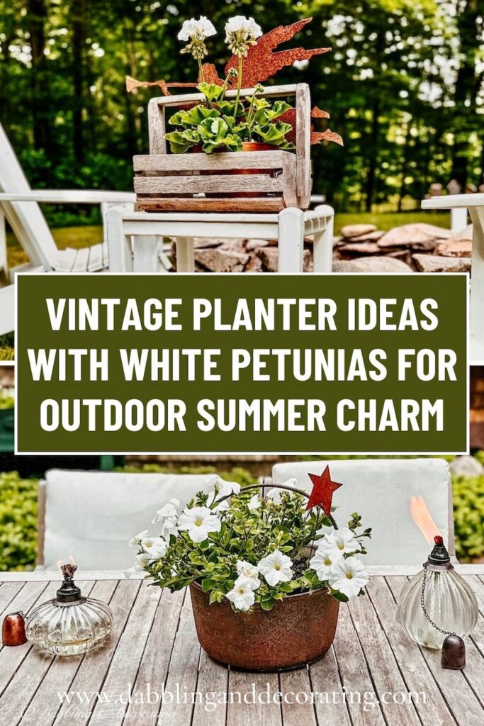Vintage Planter Ideas with White Petunias for Outdoor Summer Charm