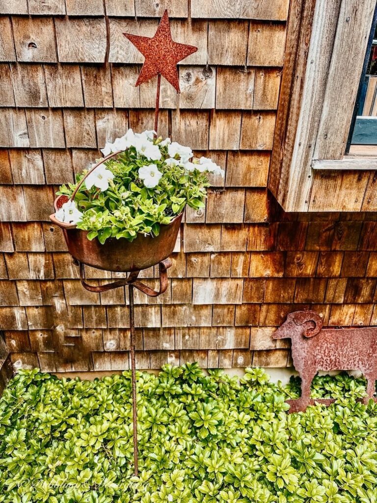 Rustic White petunias Summer Flower Planter