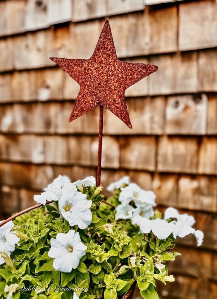 White Petunias with Rusted Star Garden Stake