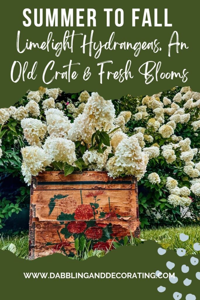 Summer to Fall: Limelight Hydrangeas, An Old Crate & Fresh Blooms