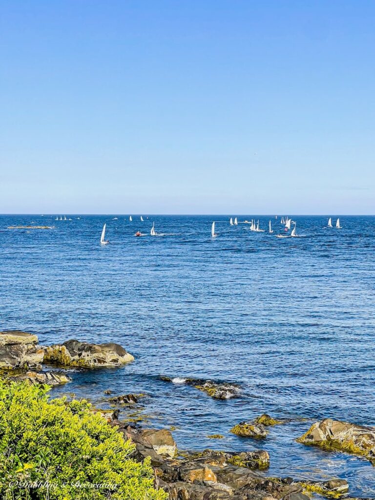 Coastal Maine Ocean View