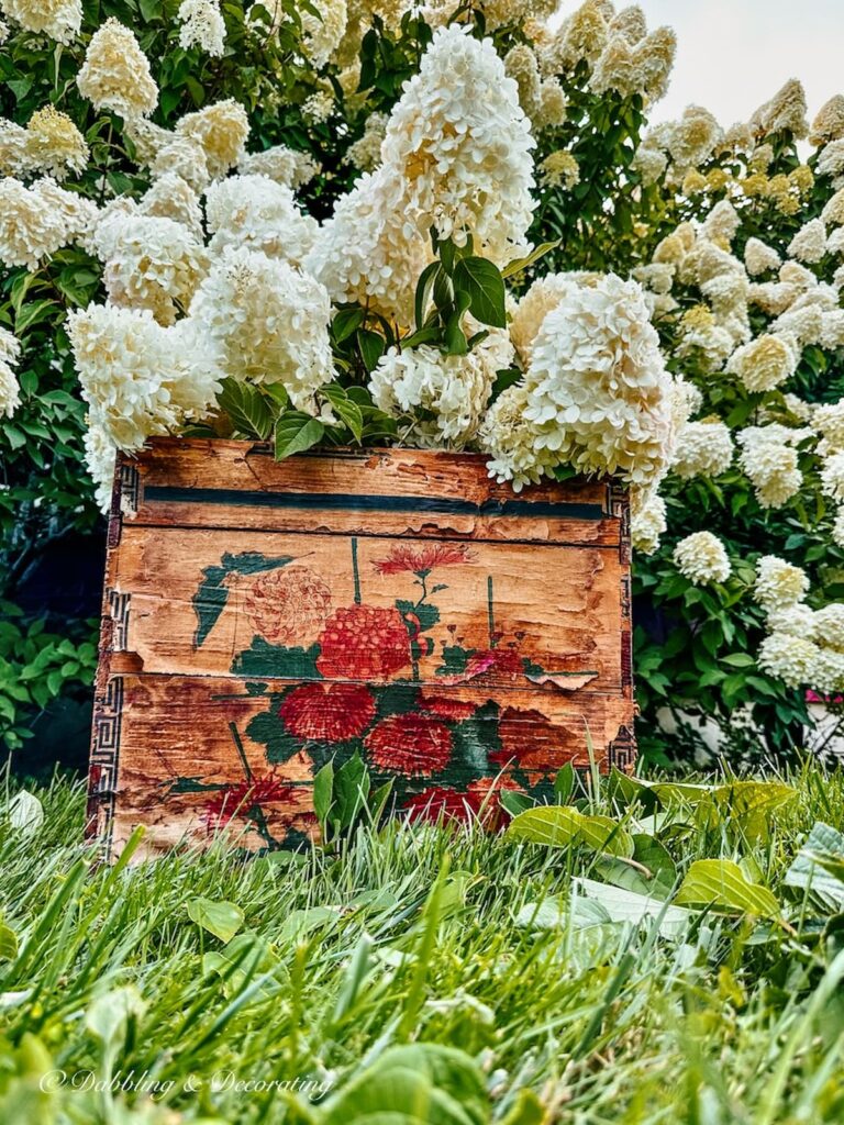 White Limelight Hydrangeas in a rustic crate