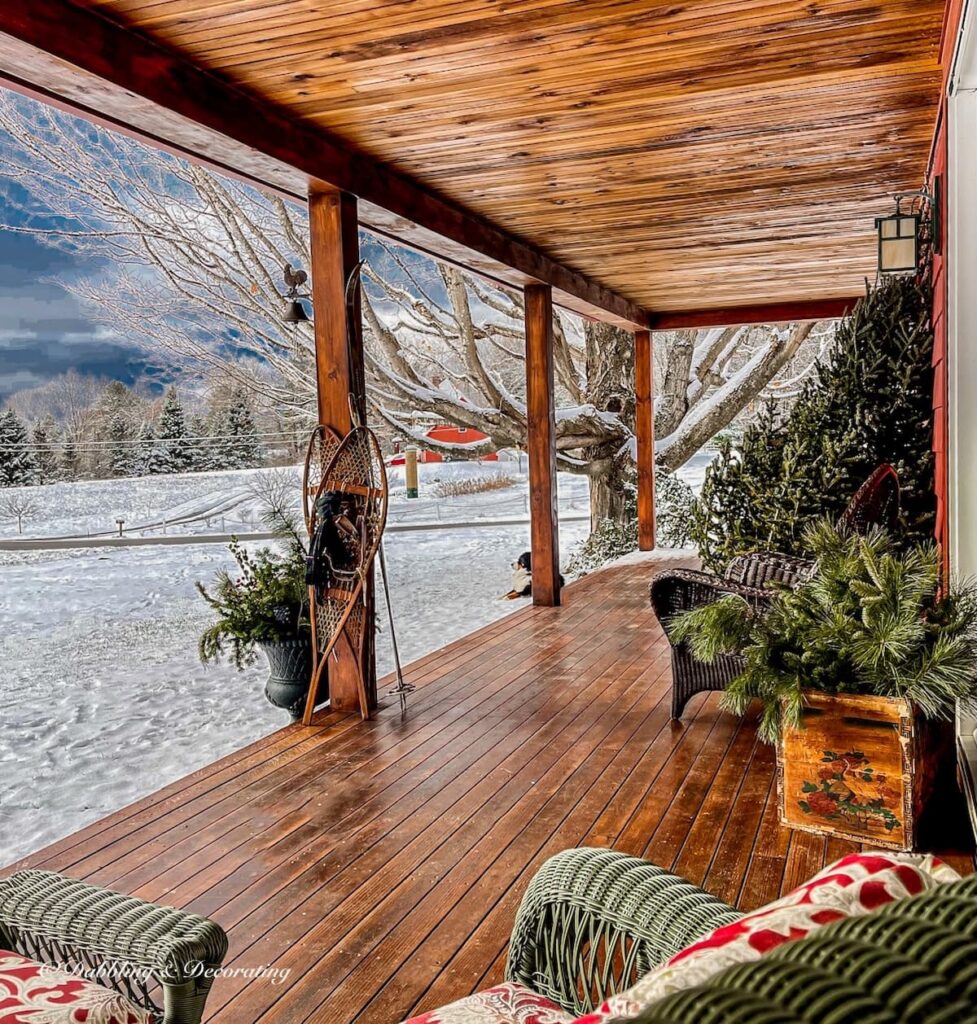 Winter Porch with Old Crate of Evergreens