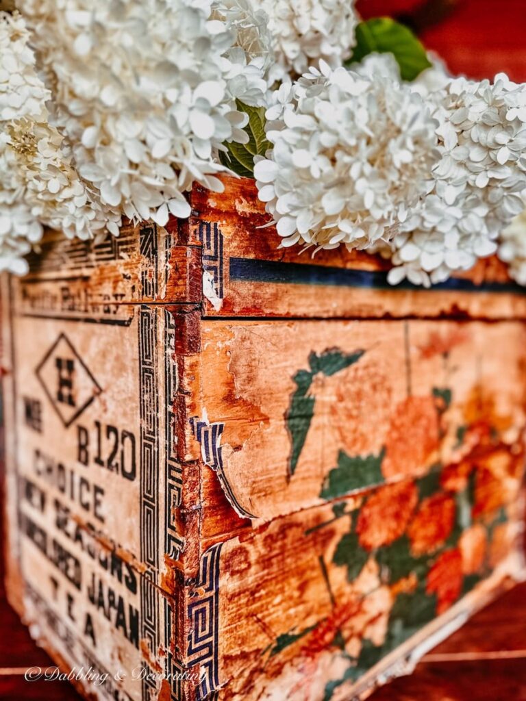 Limelight Hydrangeas in rustic crate