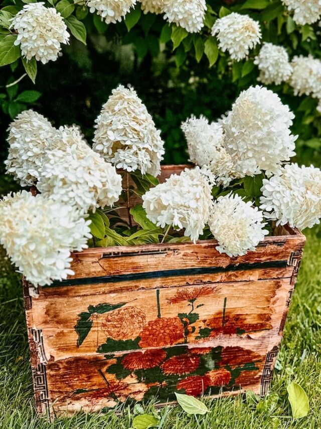 Summer into Fall: Limelight Hydrangeas, A Vintage Crate & Fresh Blooms