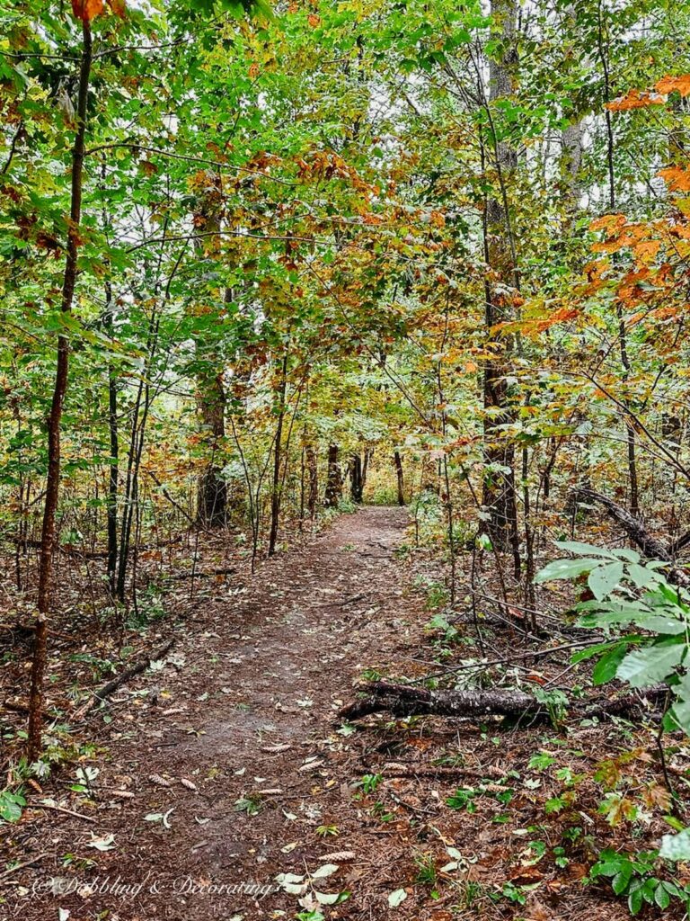 Equinox Mountain, Vermont