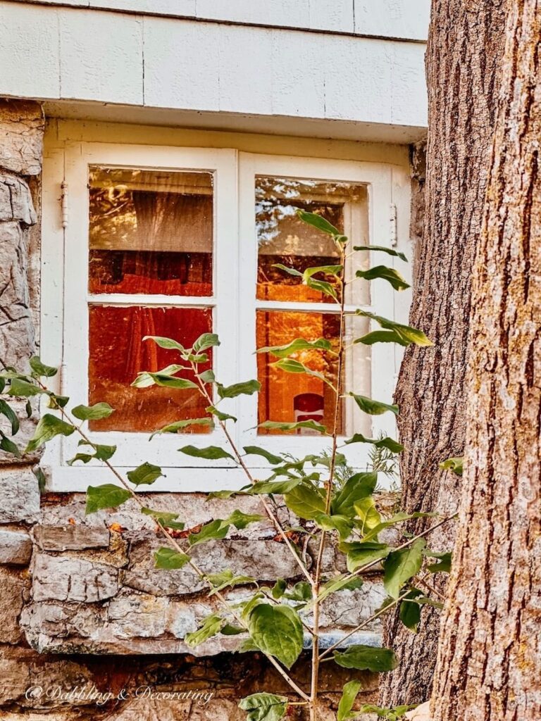 Cottage Core Windows