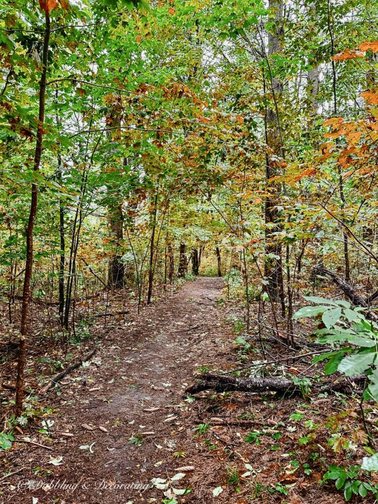 Fall Hiking Trail in Vermont